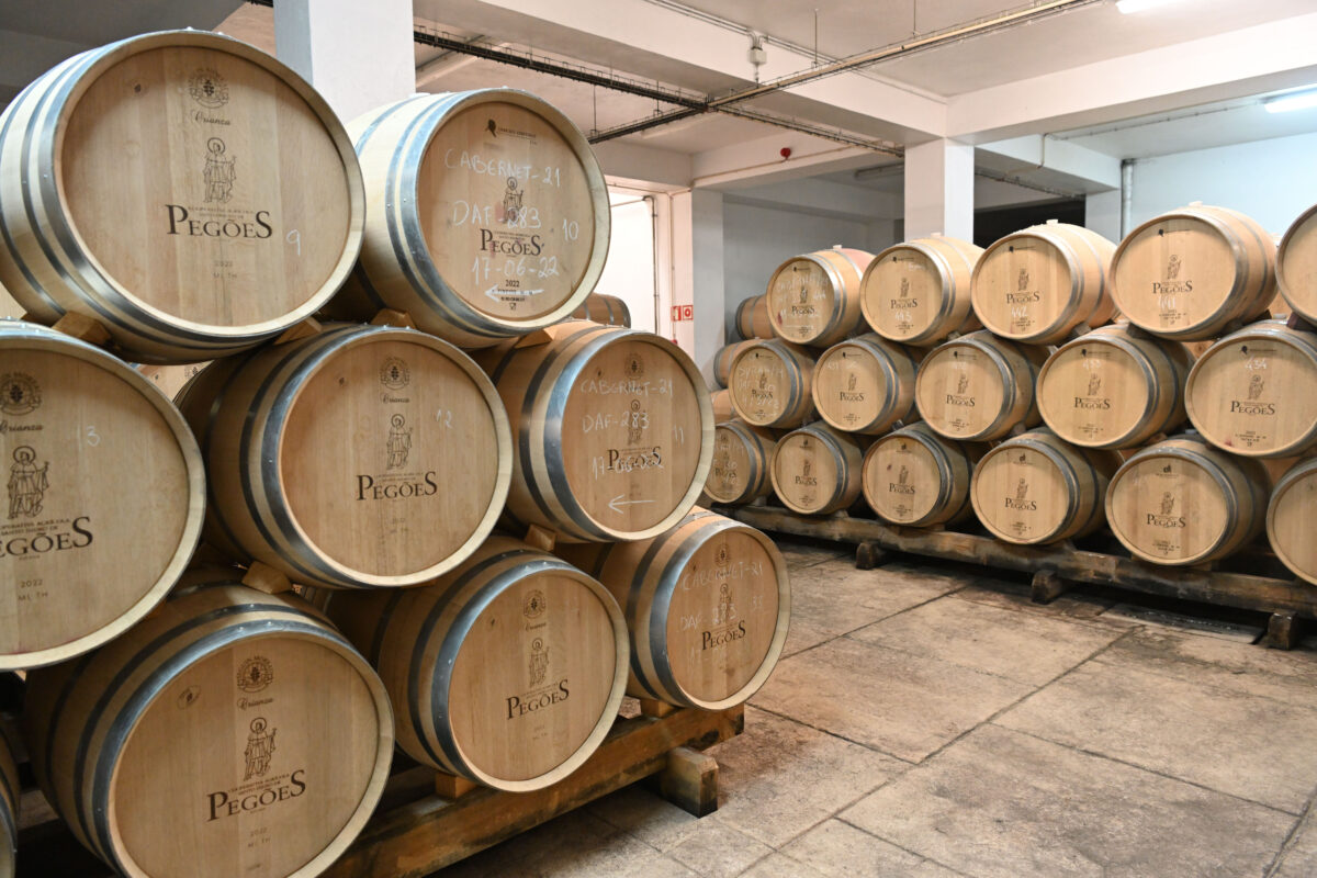 Cooperativa Agrícola Santo Isidro de Pegões