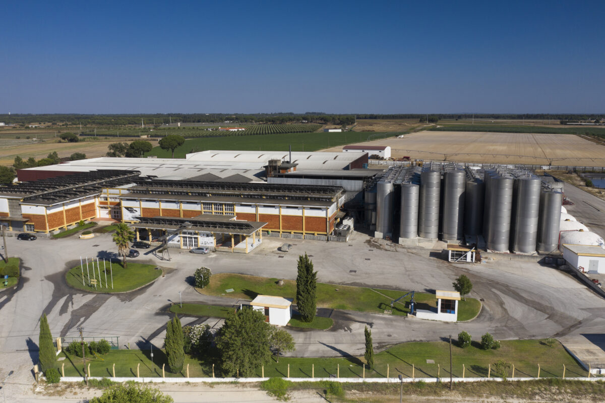 Cooperativa Agrícola Santo Isidro de Pegões