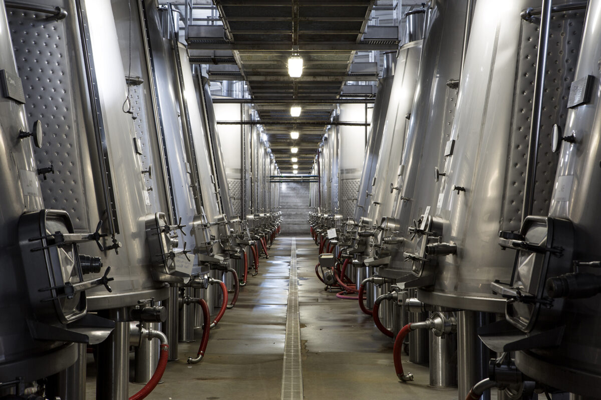 Cooperativa Agrícola Santo Isidro de Pegões