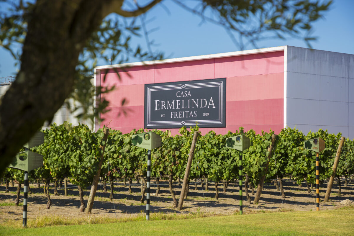 Adega Ermelinda Freitas