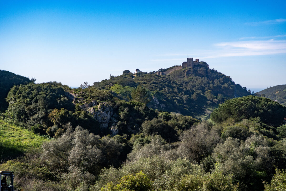 Castelo de Sesimbra