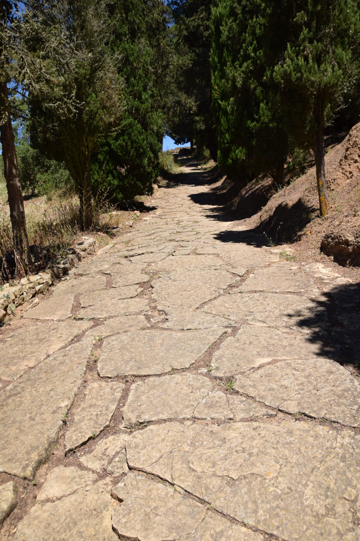 Ruínas Romanas de Miróbriga