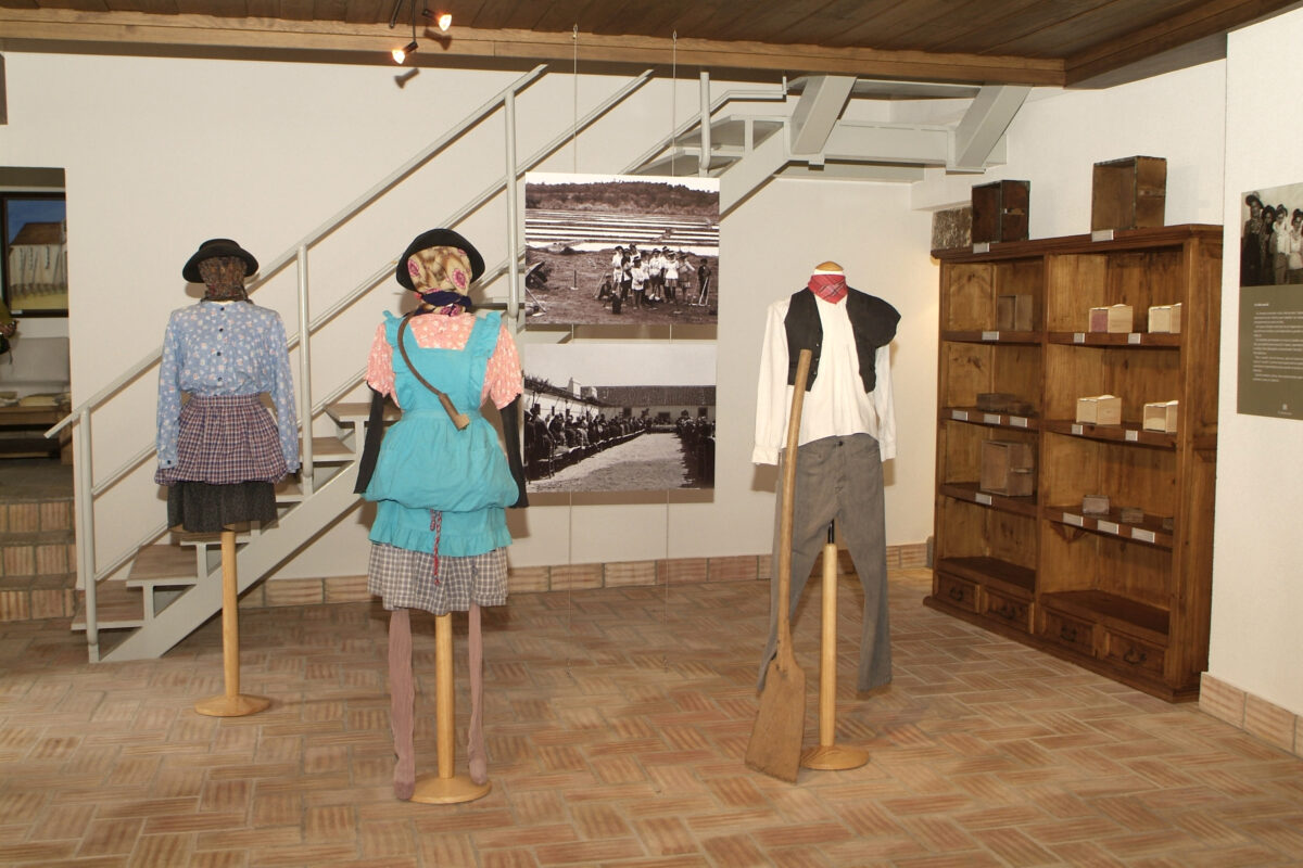 Museu Etnográfico de Canha