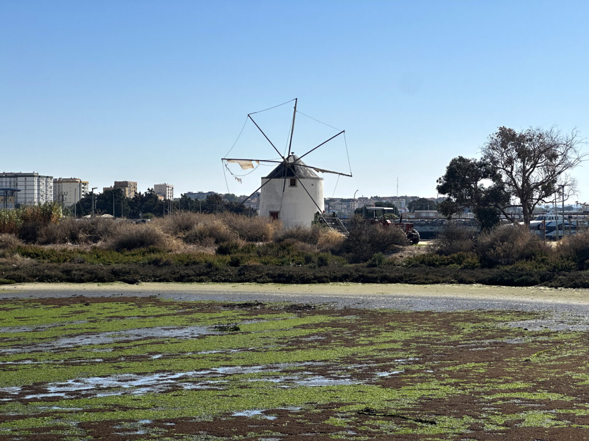 Moinho de Vento Nascente