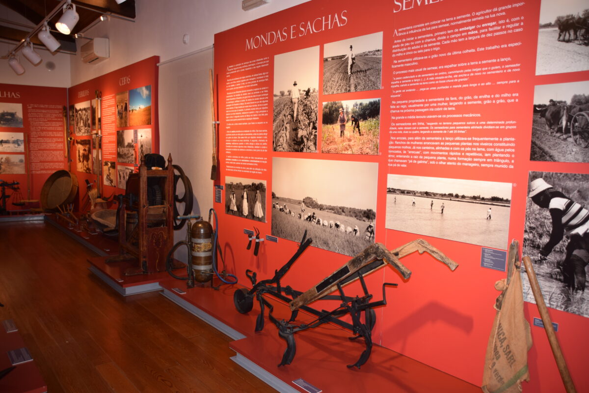 Museu do Trabalho Rural.
