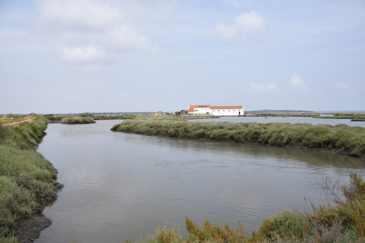 Moinho de Maré da Mourisca