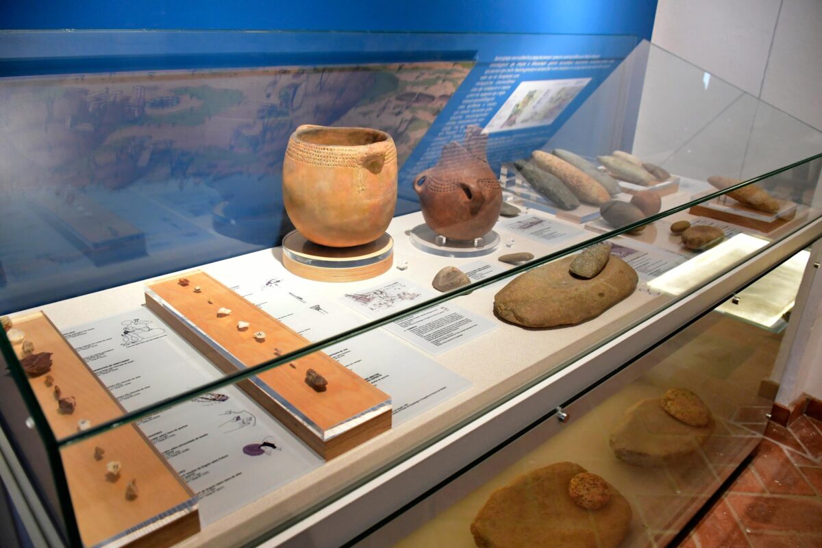 Museu de Arqueologia de Alvalade