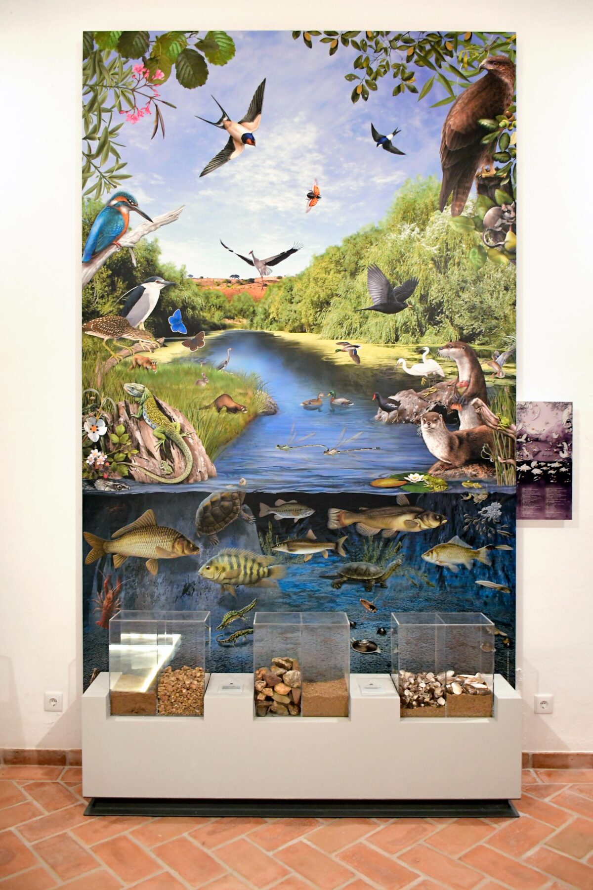 Museu de Arqueologia de Alvalade