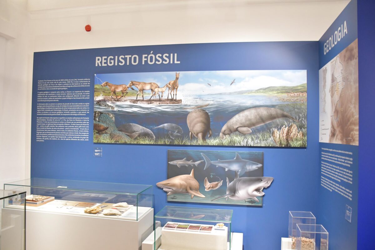 Museu de Arqueologia de Alvalade