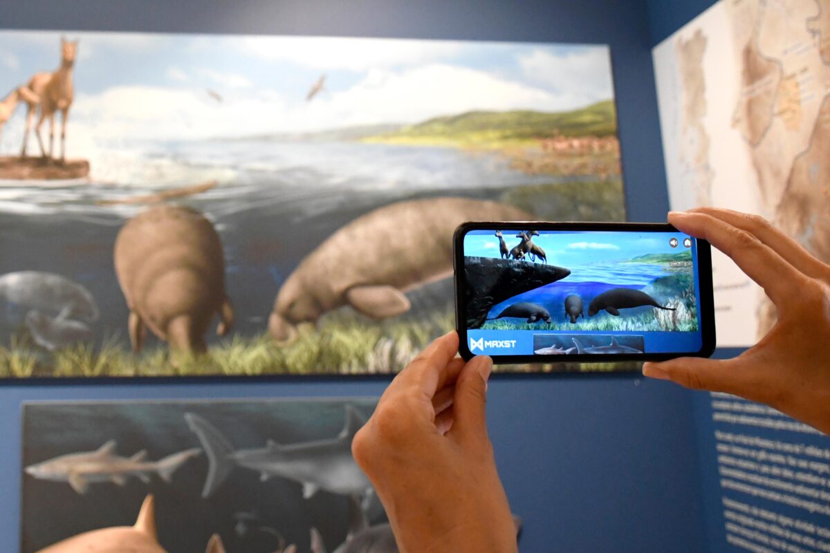 Museu de Arqueologia de Alvalade