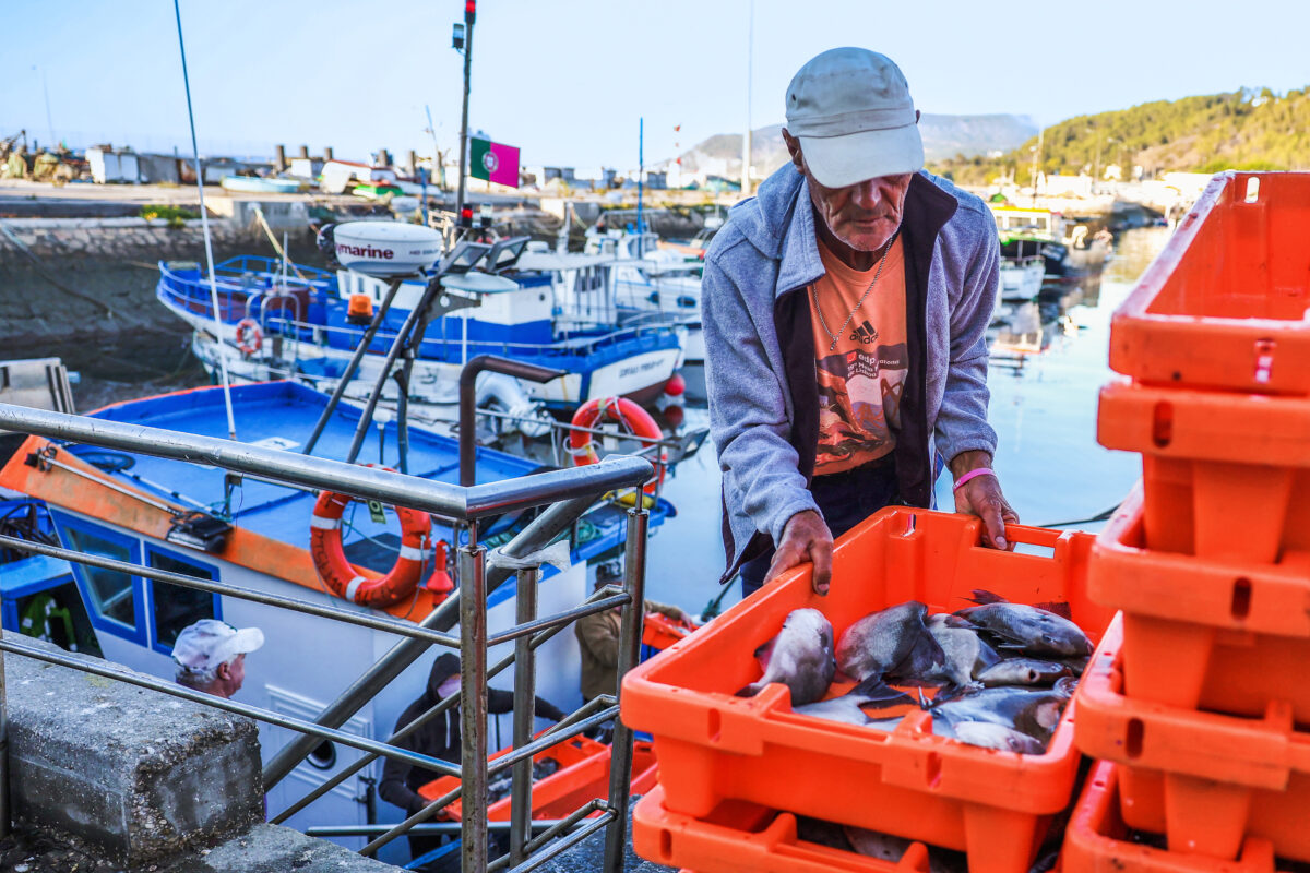Lota Doca dos Pescadores, Setúbal