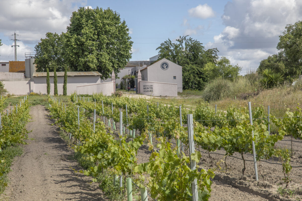 Quinta do Monte Alegre