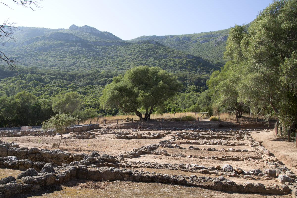 Complexo de preparados de peixe do Creiro