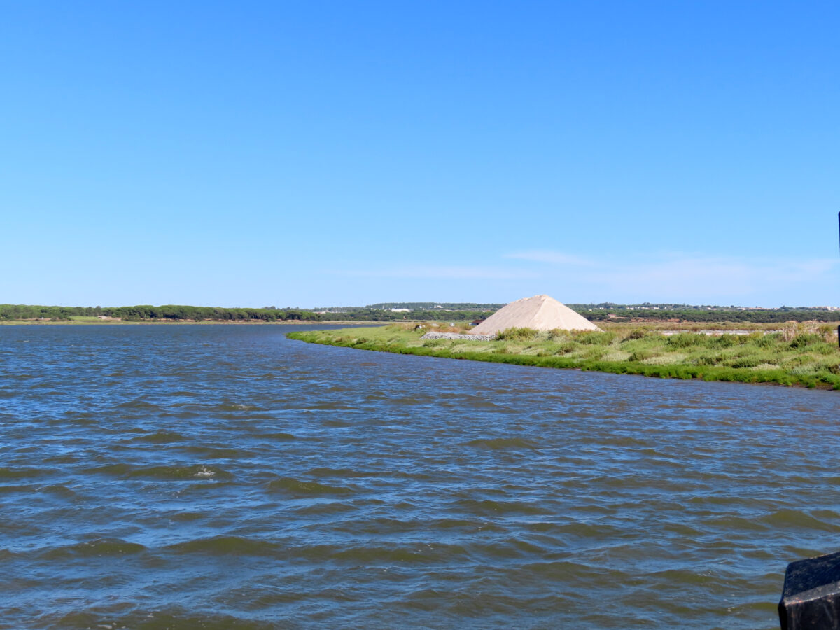 Passeios no Galeão do Sal no Rio Sado