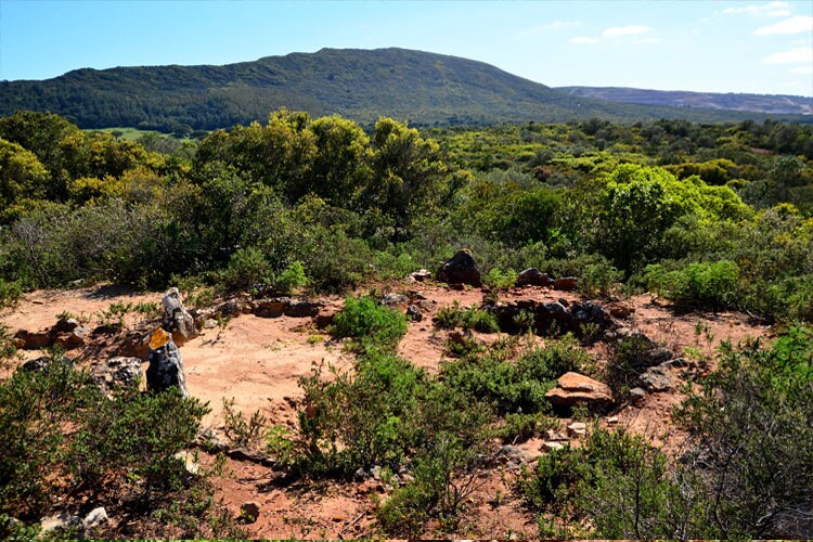 Roça do Casal do Meio