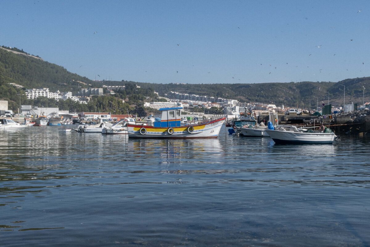 Porto de Pesca – Sesimbra