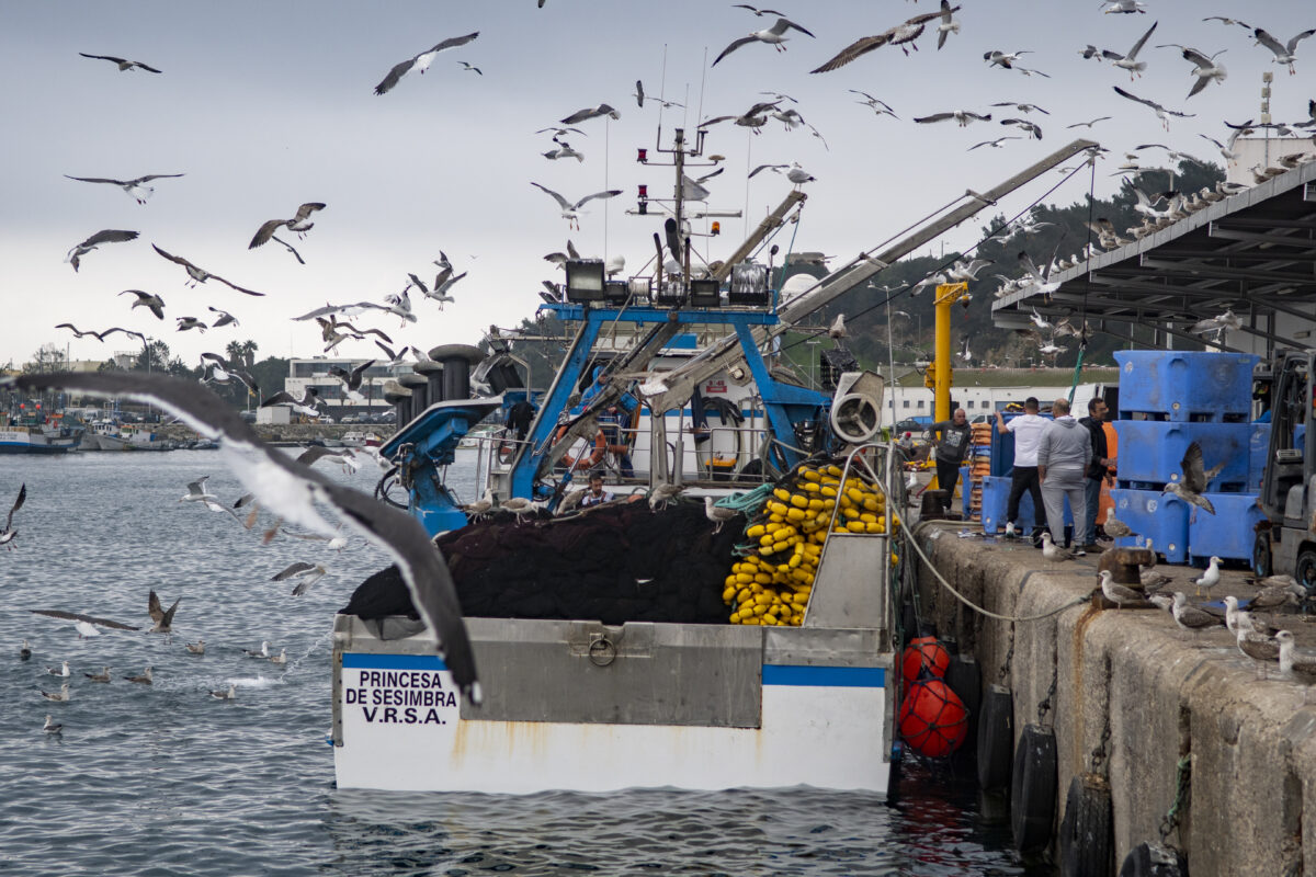Porto de Pesca – Sesimbra