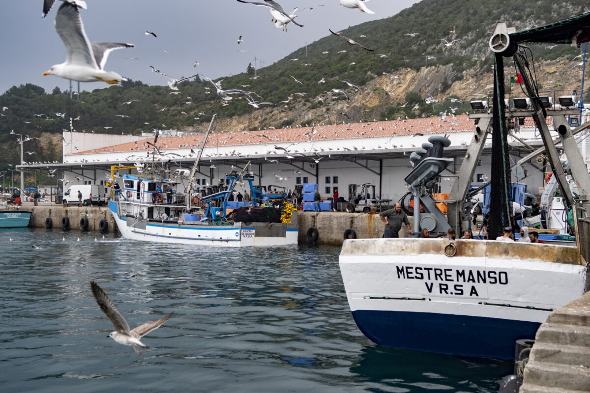 Porto de Pesca – Sesimbra