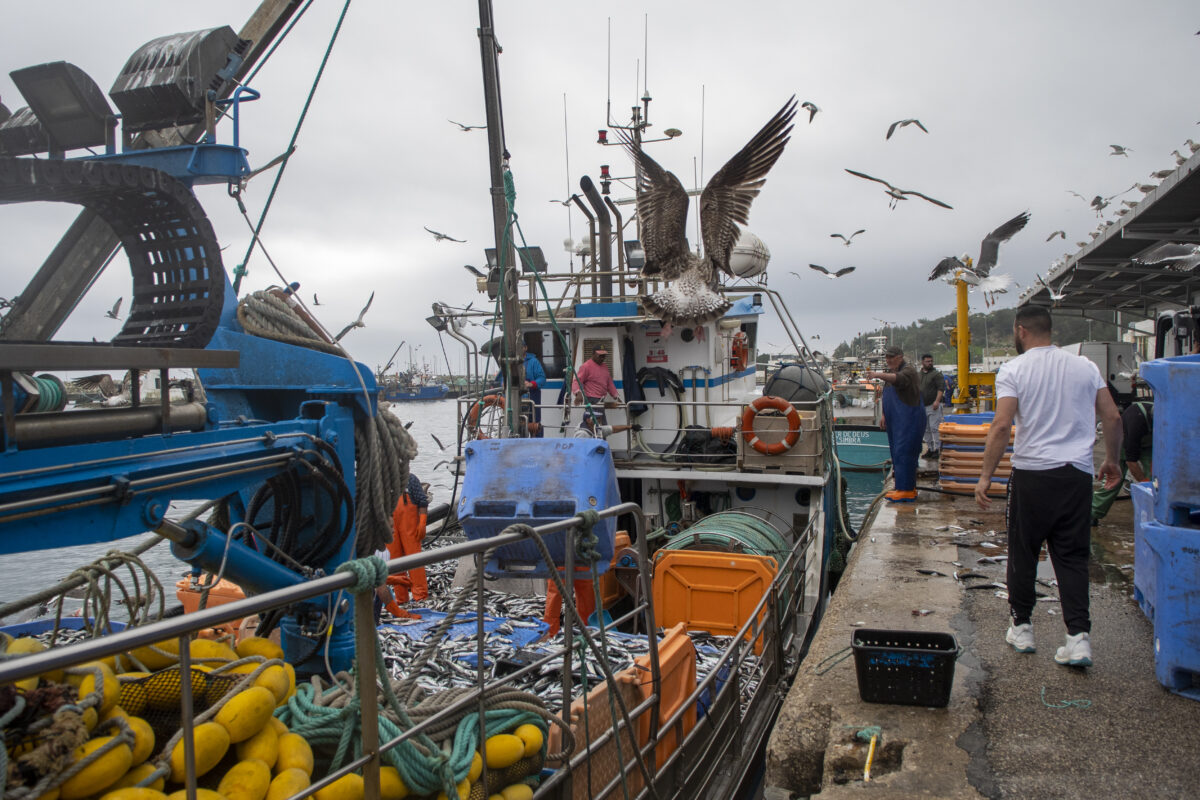 Porto de Pesca – Sesimbra